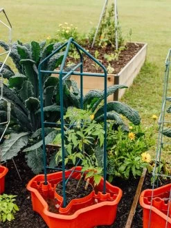 Deluxe Tomato Halos, Set Of 2 -Pots - Planters Store 8612045 221 tif