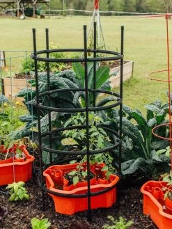 Deluxe Tomato Halos, Set Of 2 -Pots - Planters Store 8612045 228 tif