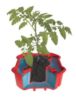 Deluxe Tomato Halos, Set Of 2 -Pots - Planters Store 8612045 crosshatch tif