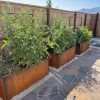 Nice Corten Trough Planters With Trellis -Pots - Planters Store 8612390 02V jpg