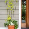 Flock Of Friends Pot Trellis -Pots - Planters Store 8612635 0081 flock of friends pot trellis