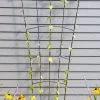 Flock Of Friends Wall Trellis -Pots - Planters Store 8612636 0029 flock of friends wall trellis