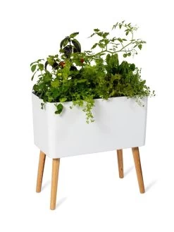 Ava Self-Watering Rectangular Planter -Pots - Planters Store 8612691 0014