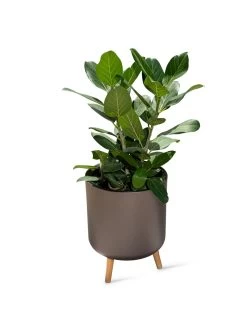 Ava Self-Watering Round Planter 13 Ava Self-Watering Round Planter -Pots - Planters Store 8612692 0003