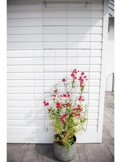 Chicken Wire Wall Trellis -Pots - Planters Store 8612717 0092