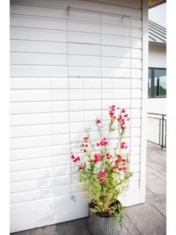 Chicken Wire Wall Trellis -Pots - Planters Store 8612717 0093