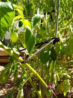 Farmyarn® Multipurpose Garden Tie, 2 Pack -Pots - Planters Store 8612948 02v