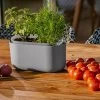 Tolita Recycled Self-Watering Flower Box -Pots - Planters Store 8612964 03v tolita recycled self watering flower box