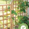 Bamboo Zig-Zag Trellis 24" X 36" -Pots - Planters Store 8613151 15