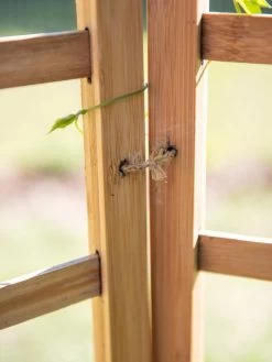 Bamboo Zig-Zag Trellis 24" X 36" -Pots - Planters Store 8613151 6483