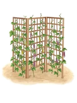 Bamboo Zig-Zag Trellis 24" X 36" -Pots - Planters Store 8613151 art flat