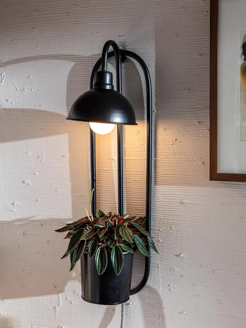 Kira Grow Light Hanging Planter 3 Kira Grow Light Hanging Planter