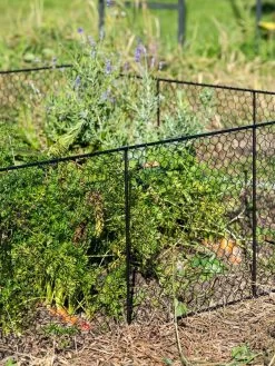 Chicken Wire Critter Fence, 16" High -Pots - Planters Store 8613249 0352