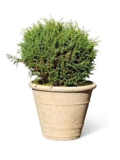 Self-Watering LavaStone® Anson Pot -Pots - Planters Store 8613255 0150