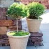 Self-Watering LavaStone® Anson Pot 2 Self-Watering LavaStone® Anson Pot -Pots - Planters Store 8613256 0124 self watering lavastone anson pot