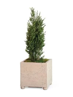 Self-Watering LavaStone® Modern Square 9 Self-Watering LavaStone® Modern Square -Pots - Planters Store 8613258 26