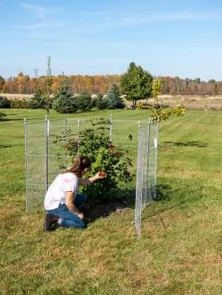 Tall Chicken Wire Critter Fence Extension Panel, Set Of 2 -Pots - Planters Store 8613260 0090