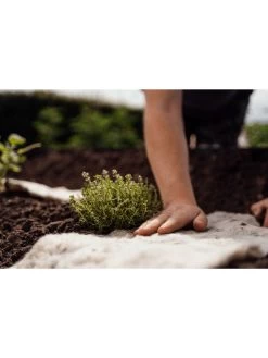 Hortiwool ®, Starter Garden Pad 9 Hortiwool ®, Starter Garden Pad -Pots - Planters Store 8613263 09v