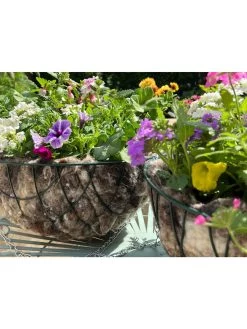 Hortiwool ® Hanging Basket Liner, Set Of 2 -Pots - Planters Store 8613263 19v