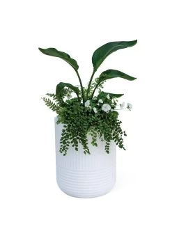Arden Round Planter -Pots - Planters Store 8613267 0115
