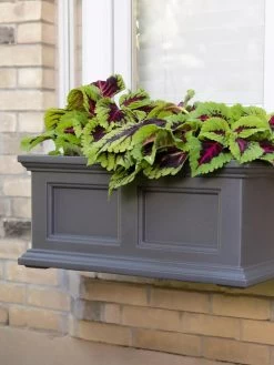 Fairfield Self-Watering Window Box, 2’ -Pots - Planters Store 8613268 08V tif