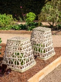 Bamboo Cloche, Set Of 2 -Pots - Planters Store 8613351 0150 bamboo cloche set of 2