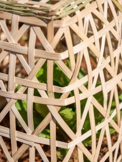 Bamboo Cloche, Set Of 2 -Pots - Planters Store 8613351 0153