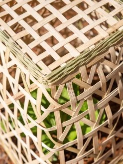 Bamboo Cloche, Set Of 2 -Pots - Planters Store 8613351 0154