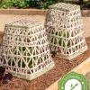 Bamboo Cloche, Set Of 2 -Pots - Planters Store 8613351 12