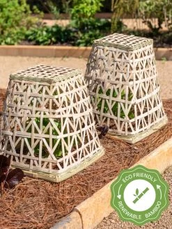 Bamboo Cloche, Set Of 2