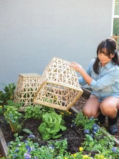 Bamboo Cloche, Set Of 2 -Pots - Planters Store 8613351 6862