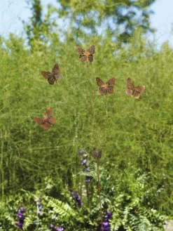 Flutterer Garden Stake 15 Flutterer Garden Stake -Pots - Planters Store 8613372 01V tif