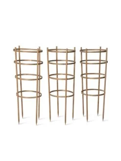 Bamboo Tomato Cages, Set Of 3 17 Bamboo Tomato Cages, Set Of 3 -Pots - Planters Store 8613426 4679 bamboo tomato cages 3