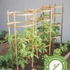 Bamboo Tomato Cages, Set Of 3 -Pots - Planters Store 8613426 7