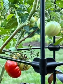 Oasis Self-Watering Tomato Planter With Trellis -Pots - Planters Store 8613440 01TEST