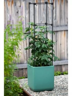 Oasis Self-Watering Tomato Planter With Trellis -Pots - Planters Store 8613440 0373 3 4