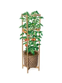Elevated Bamboo Tomato Planter And Trellis -Pots - Planters Store 8613502 art flat