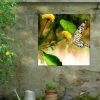Butterfly Kiss Outdoor Wall Art -Pots - Planters Store 8613998 02V butterfly kiss outdoor wall art