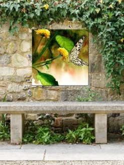Butterfly Kiss Outdoor Wall Art -Pots - Planters Store 8613998 03V