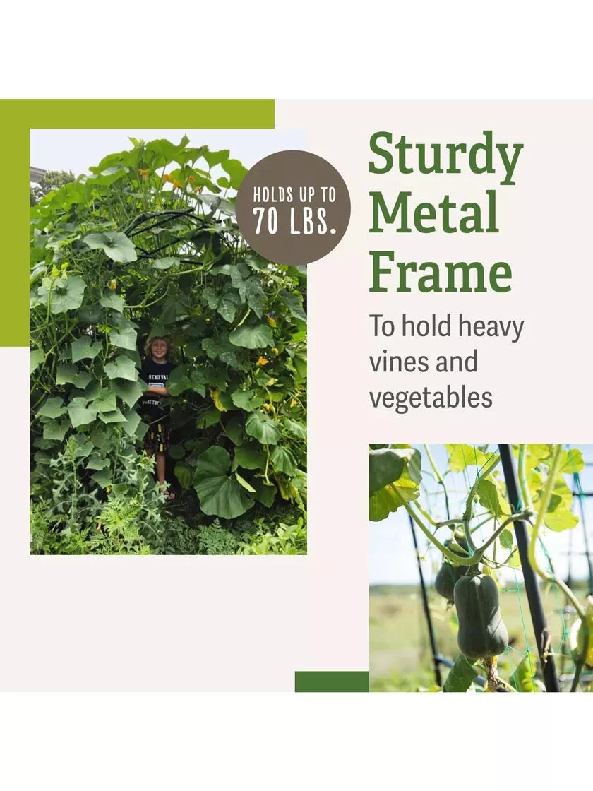 Titan Squash Tunnel 5 Titan Squash Tunnel - Image 3