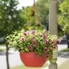 Self-Watering Hanging Basket -Pots - Planters Store GS34368 10 tif