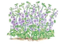 Curved Linking Stakes -Pots - Planters Store GS35240 01S tif