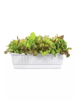 31" Self-Watering Window Box -Pots - Planters Store GS36523 01Z 3 4
