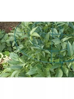 Grow Through Supports, Set Of 3 -Pots - Planters Store GS40172 01 1