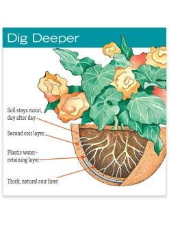 AquaSav™ Replacement Liners, Set Of 3 -Pots - Planters Store hiw 38 583