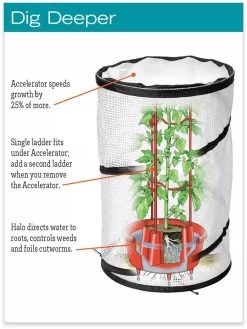 Tomato TLC Kits, Set Of 3 11 Tomato TLC Kits, Set Of 3 -Pots - Planters Store hiw 8594214 jpg