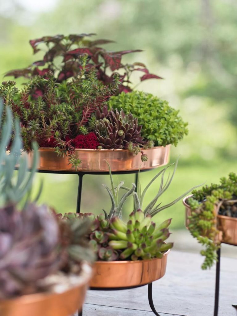 Pots - Planters Store 18 Pots - Planters Store -Pots - Planters Store 8593564 4399 tif 768x1024 1