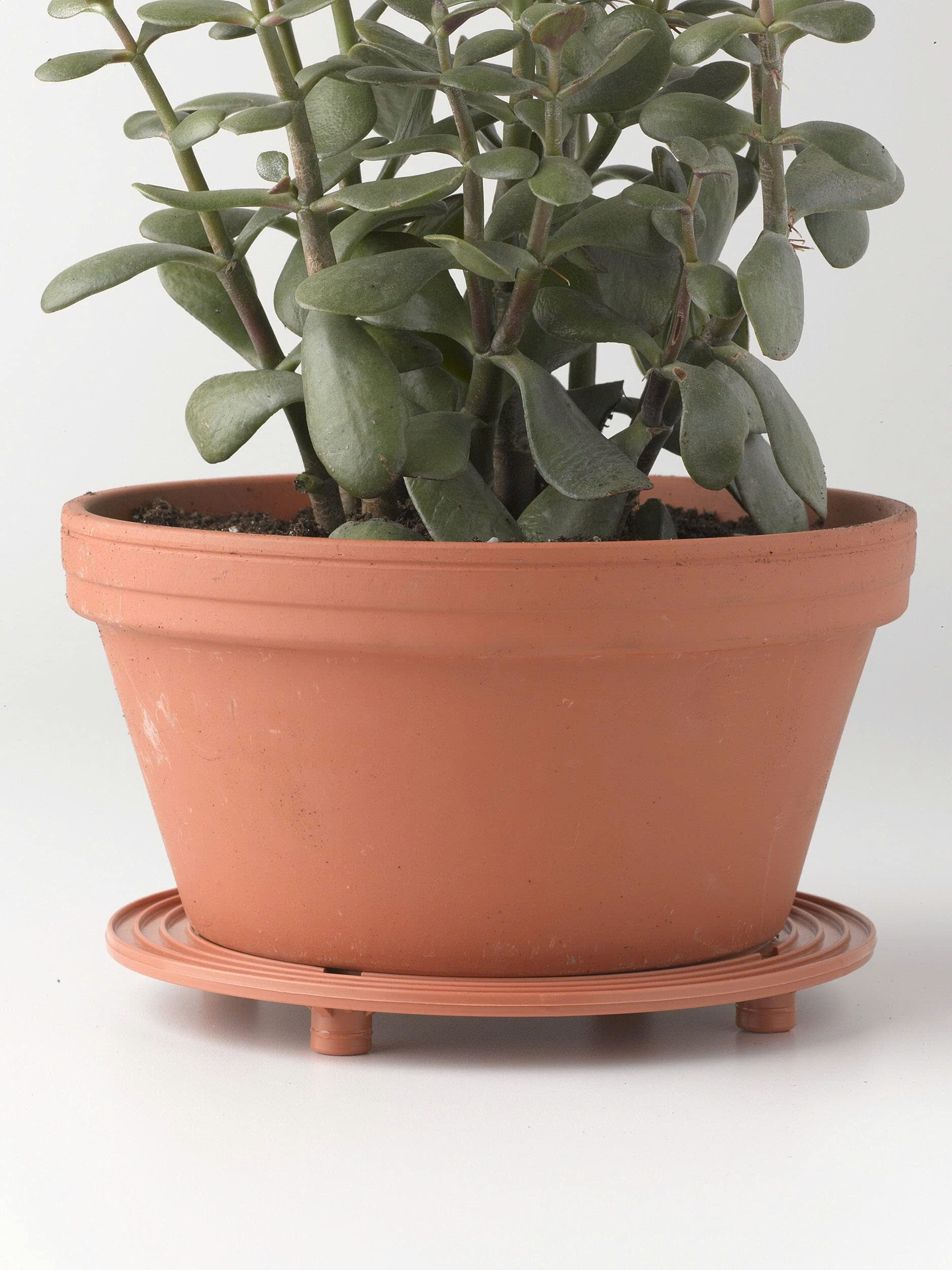 Pots - Planters Store 5 Pots - Planters Store -Pots - Planters Store z6598821110700 50663bd31ddbbea920b6f32fff137832